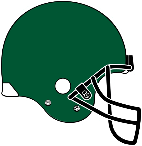 Tulane Green Wave 2005 Helmet Logo 03 iron on paper